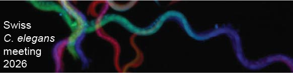 Swiss C. elegans Meeting 2026