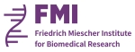 FMI